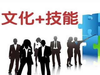 2019年文化综合（语文、数学、英语）单科考前集训班