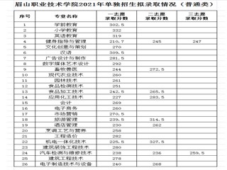 眉山职业技术学院2021年单招录取分数线